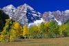 Colorado-aspens (9)