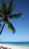 Tropical Carribean Paradise