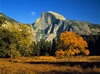 Yosemite National Park