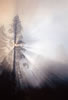 Yosemite