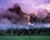 Yosemite National Park