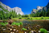 Yosemite